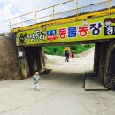 도호농장 이미지