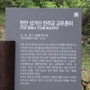 야생화 천국 성거산 성지 (교우촌터 外) 이미지