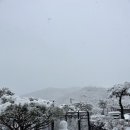 안우농장 네이버블로그