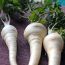 Blanch(Vegetable) 1(아침에 시간이 없는 관계로 퇴근후 다시 ㅎㅎ) 이미지