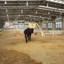 고래꿈호텔 이미지