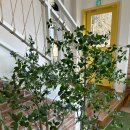 갈재농장 이미지