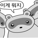 스타키즈수영장 중구점 이미지