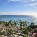 에이스침대 대전사옥 | 대전 신혼여행 / 하와이 허니문 다녀온 후기