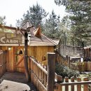 숲속오두막 이미지