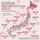 수양-0002 | 일본 오사카 교토 벚꽃 명소 2026 개화시기 만개시기 항공권 가격