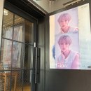 바운스캠프