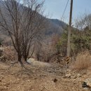 조은터부동산중개사무소 이미지