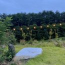 지에스25 38선휴게소점 이미지