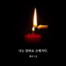 알파명동성당