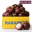 망고스틴
