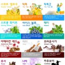 수원전자담배하카멀티샵 이미지