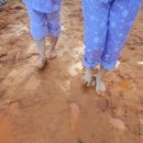 케어랜드 이미지