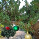 덕산 아라채 이미지