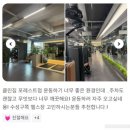 짐포레스트 이미지