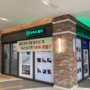 SUN 스칼프 크리닉