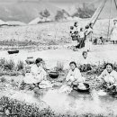 우리빨래터 이미지