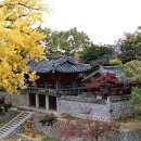 수출대로-13 이미지