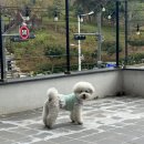 새콤달콩 이미지