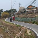 상천리-4 이미지