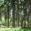 청수목장 이미지