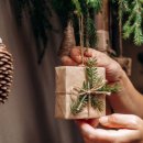 네츄럴플래닛 이미지