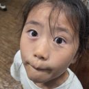 표선 한사랑 약국 네이버블로그