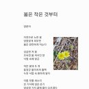 작은꽃지천 이미지