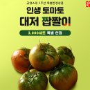 토마토판매