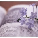 달빛숲속마을 이미지