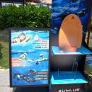 블루펄리조트 | 나트랑(깜란)여행기록_숙소편_깜란멜리아빈펄비치리조트_메인풀에서 버블파티,수중스쿠터로 신남 업업↑↑