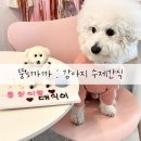 뚱's 까까 이미지