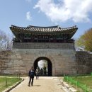 조령산자연휴양림 이미지