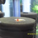 큐브존2 이미지