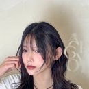 아르결 이미지