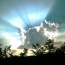 마하목장 이미지