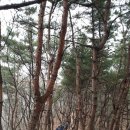 위례둘레길 이미지