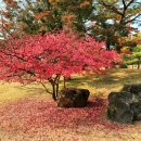 아산행정사 이미지