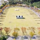 국민여가캠핑장 1 이미지