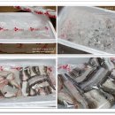 싱싱한 생선나라 이미지