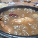 진품참옻닭