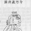 의술농장 이미지