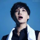 레이디본 이미지