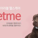 피씨에프원 이미지
