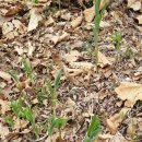 간판없는식당 이미지