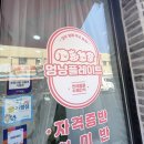 멍냥플레이트 이미지