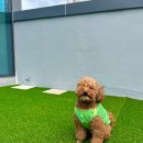 동래유치원 이미지