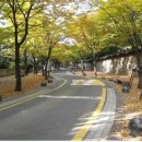 노해길 서울신문