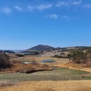 나리목장 이미지