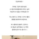 도그마루 강아지 고양이 마포용산점 이미지